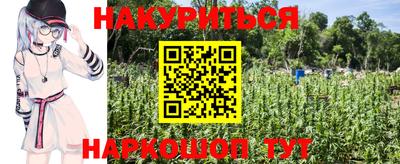 индика Беслан