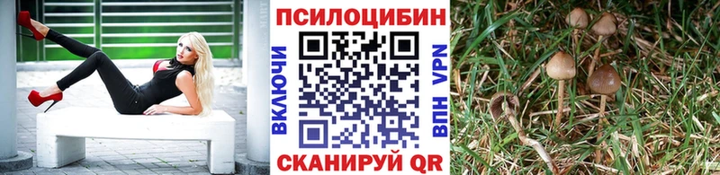 Галлюциногенные грибы Psilocybine cubensis Майкоп