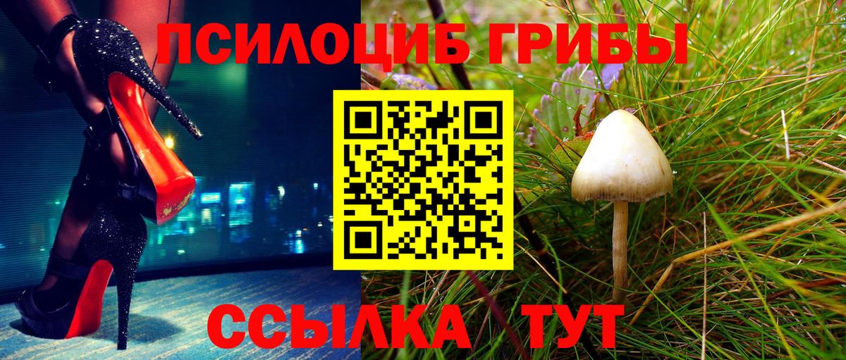 Псилоцибиновые грибы прущие грибы  Майкоп 