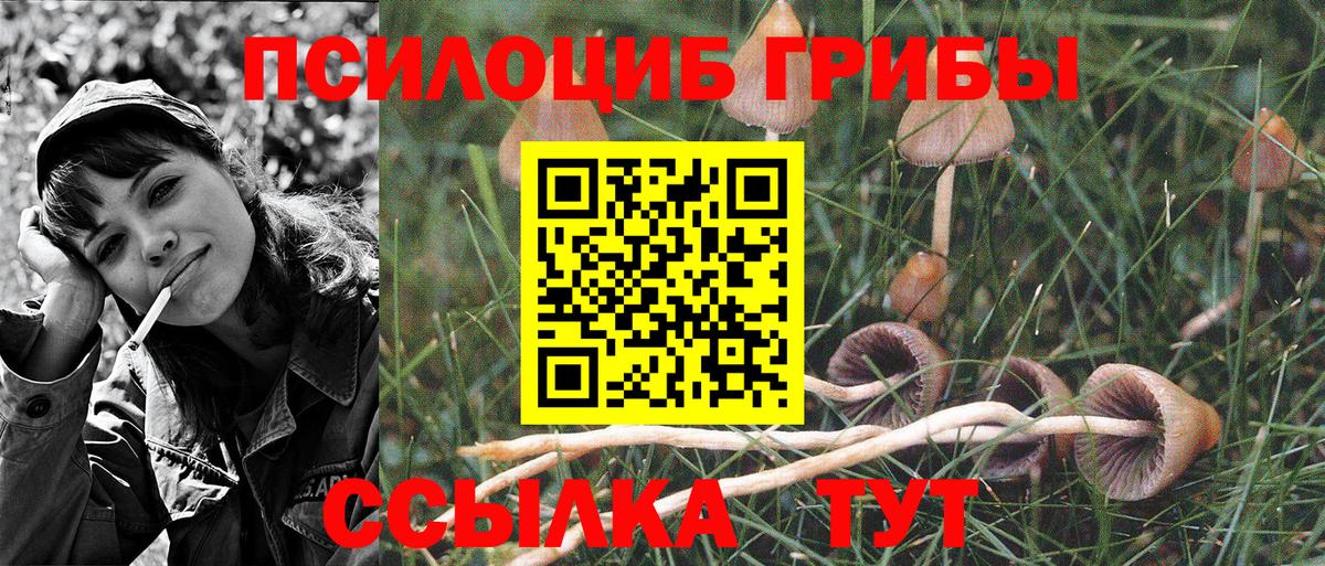 Галлюциногенные грибы GOLDEN TEACHER Майкоп