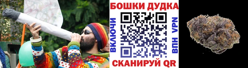 Бошки марихуана планчик  цены   Майкоп 
